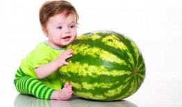 吃瓜心声娱乐圈花瓶,揭秘“吃瓜心声”背后的真相